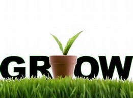 Picture of a plant in a pot sitting on grass with the word Grow in the background